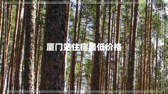 厦门站住宿最低价格