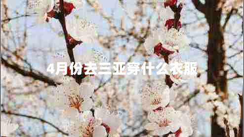 4月份去三亚穿什么衣服