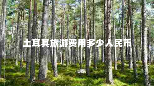 土耳其旅游费用多少人民币