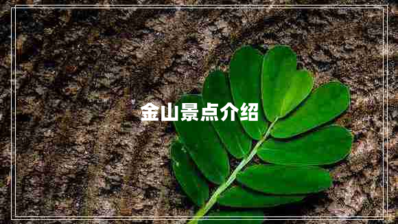 金山景点介绍