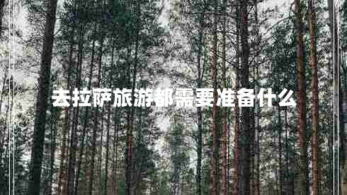 去拉萨旅游都需要准备什么