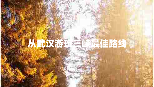 从武汉游玩三峡最佳路线