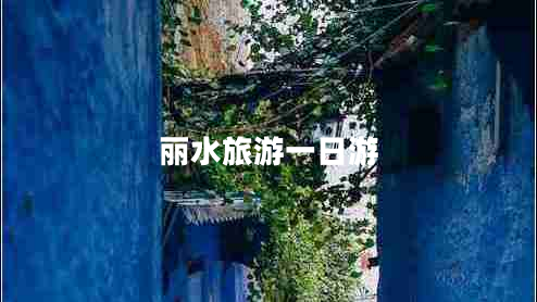 丽水旅游一日游