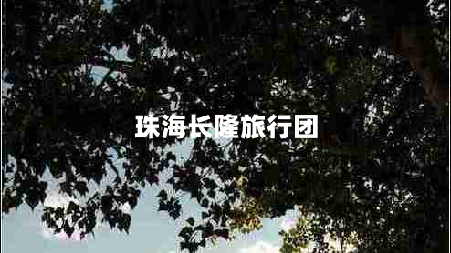 珠海长隆旅行团