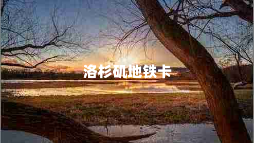 洛杉矶地铁卡