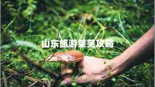 山东旅游莱芜攻略 山东旅游莱芜攻略