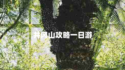 井冈山攻略一日游