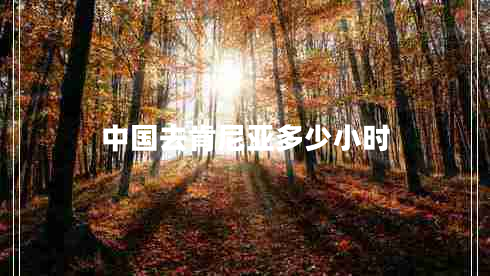 中国去肯尼亚多少小时