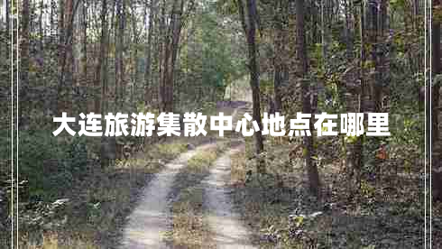 大连旅游集散中心地点在哪里