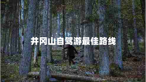 井冈山自驾游最佳路线