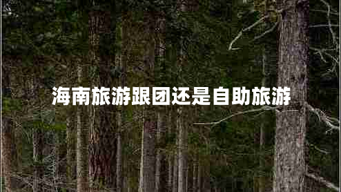 海南旅游跟团还是自助旅游
