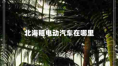 北海租电动汽车在哪里