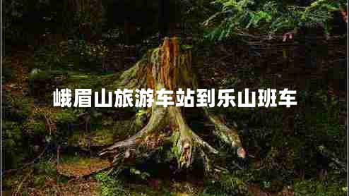 峨眉山旅游车站到乐山班车