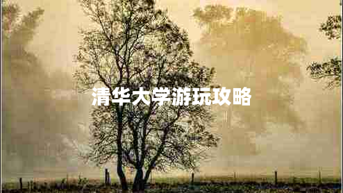 清华大学游玩攻略