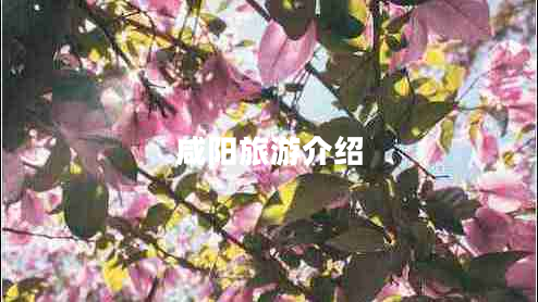 咸阳旅游介绍 咸阳旅游介绍