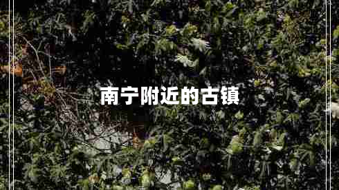 南宁附近的古镇