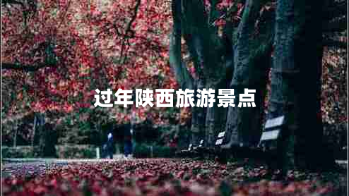 过年陕西旅游景点