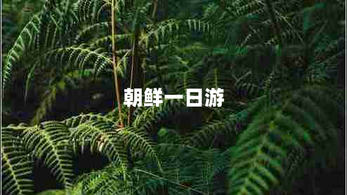 朝鲜一日游