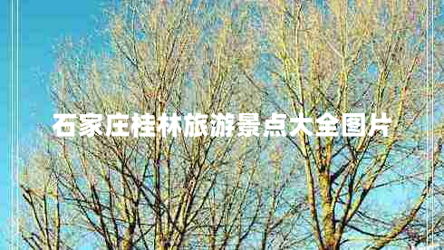 石家庄桂林旅游景点大全图片