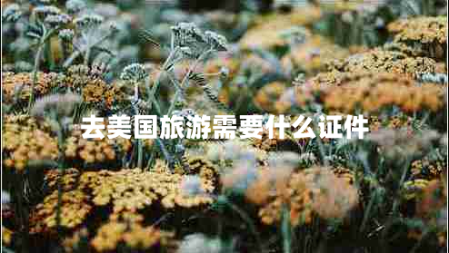 去美国旅游需要什么证件