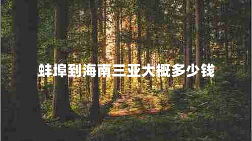 蚌埠到海南三亚大概多少钱 蚌埠到海南三亚大概多少钱