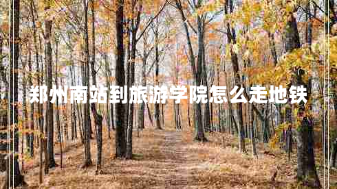 郑州南站到旅游学院怎么走地铁