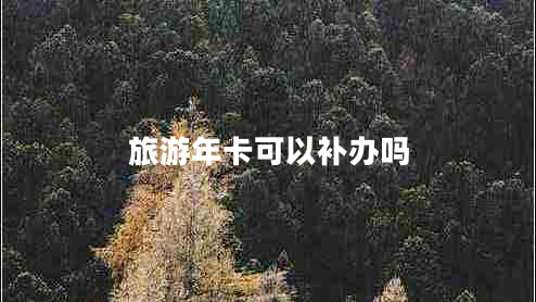 旅游年卡可以补办吗