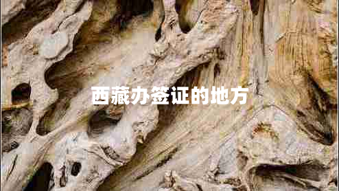 西藏办签证的地方