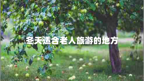冬天适合老人旅游的地方
