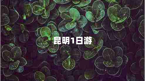 昆明1日游 昆明1日游