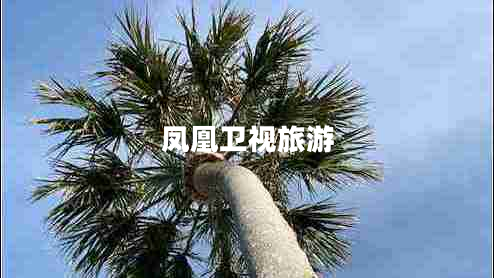 凤凰卫视旅游