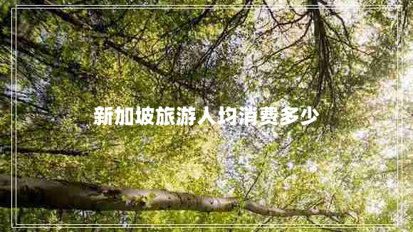 新加坡旅游人均消费多少