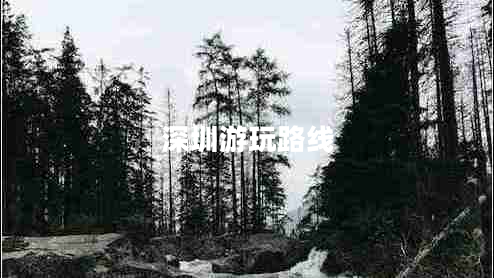 深圳游玩路线
