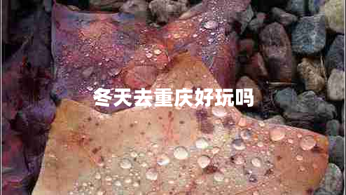冬天去重庆好玩吗