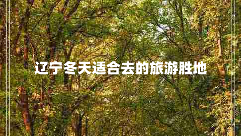 辽宁冬天适合去的旅游胜地