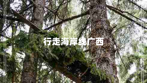 行走海岸线广西