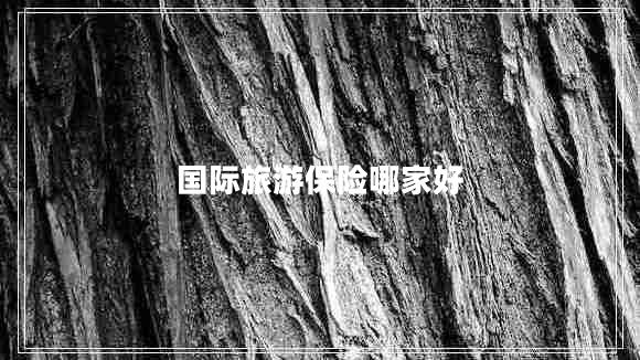 国际旅游保险哪家好 国际旅游保险哪家好