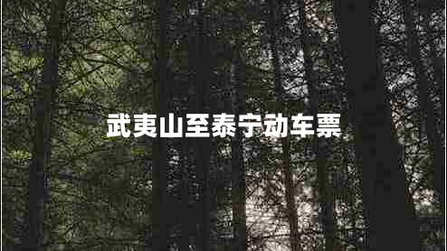 武夷山至泰宁动车票