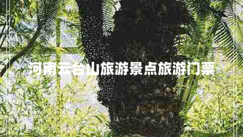 河南云台山旅游景点旅游门票