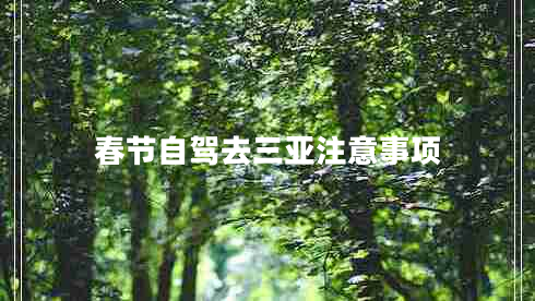 春节自驾去三亚注意事项