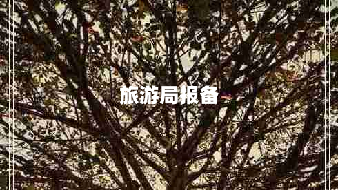 旅游局报备