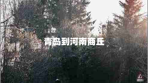 青岛到河南商丘