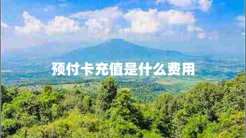 预付卡充值是什么费用 预付卡充值是什么费用