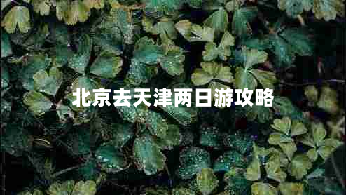 北京去天津两日游攻略
