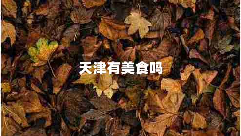天津有美食吗