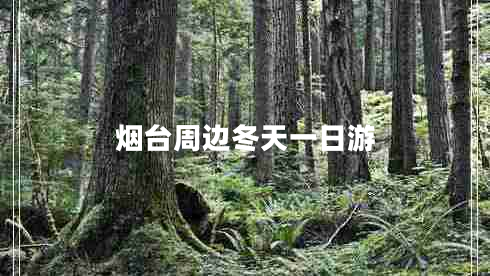 烟台周边冬天一日游