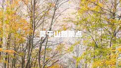 莫干山路景点
