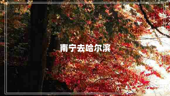 南宁去哈尔滨