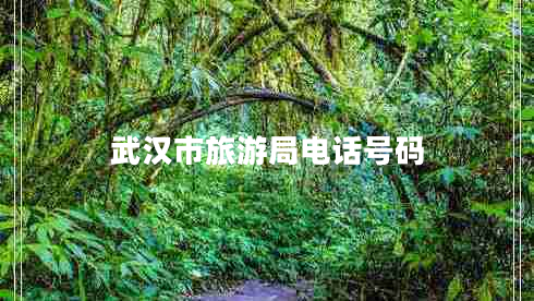 武汉市旅游局电话号码