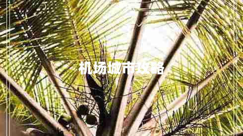 机场城市攻略